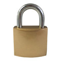 Padlock 31 mm