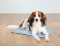 Trixie Cooling Mat 50x40cm, light blue