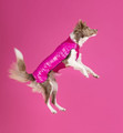 Chaba Dog Coat Jacket Dopamine M, fuchsia