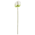 SMYCKA Artificial flower, in/outdoor Flamingo plant/white, 66 cm