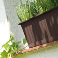 Balcony Plant Pot Box 60 cm, brown