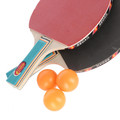 Regail Table Tennis Rackets with 3 Balls 14+