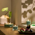 LOTSFÅGEL Scented candle in glass, 3 wicks, Fig leaf green, 25 hr