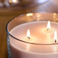 LOTSFÅGEL Scented candle in glass, 3 wicks, Pink flowers pale pink, 25 hr