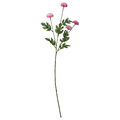 SMYCKA Artificial flower, in/outdoor Chrysanthemums/pink, 75 cm