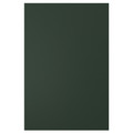 HAVSTORP Door, deep green, 40x60 cm