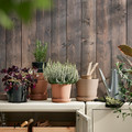 KLARBÄR Plant pot with saucer, in/outdoor brown, 12 cm