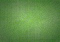 Ravensburger Jigsaw Puzzle Krypt Neon Green 736pcs 12+