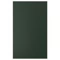 HAVSTORP Door, deep green, 60x100 cm