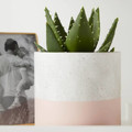 Plant Pot Concrete GoodHome 12 cm, pink