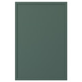 ASPUDDEN Door, dark grey-green, 40x60 cm