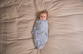 Bo Jungle B-Wrap Baby Wrapping Blanket Small White Tiger Small 0-4m