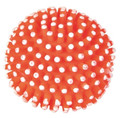 Trixie Dog Toy Ball Hedgehog 7cm