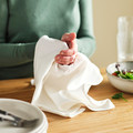 RÖDSPÄTTA Tea towel, white, 45x60 cm