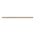 Decorative Tile Trim Arte 60.8 x 2.3 cm, gold mat, 1pc