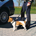 Trixie Dog Car Harness Size S