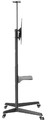 NewStar Floor Stand 37-70" 50kg FL50-550BL1