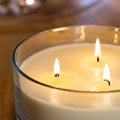 LOTSFÅGEL Scented candle in glass, 3 wicks, Vanilla pale beige, 25 hr