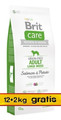 Brit Care Dog Food Grain Free Adult Large Salmon & Potato 14kg (12+2kg)