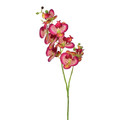 Artificial Spray Orchid Jumi 69 cm, 1pc, assorted colours