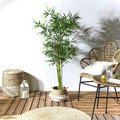 Artificial Plant Bamboo 150cm