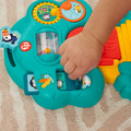 Fisher-Price Animal Friends Discovery Baby Activity Toys Collection, 1PC, assorted, HXK32 W6m+