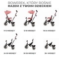 Kinderkraft Tricycle Aston, rose pink, 9m+