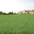 Artificial Turf Grass 1 x 5 m 30 mm (5sqm)