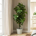 KÖRSBÄRSBJÖRK Plant pot, light grey/beige, 24 cm