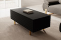 Coffee Table with Storage Scalia II 120, matt black, gold legs