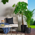 PÄRLRÖNN Plant pot, in/outdoor/black, 24 cm
