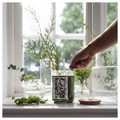 JÄMTSKOGEN Scented cndl in glass w lid/2 wicks, cypress & eucalyptus/dark green, 100 hr