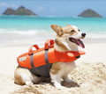 Outward Hound RipStop Splash Dog Life Jacket XSmall