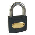 Padlock 48 mm, cast iron