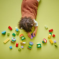 LEGO DUPLO Creative Garden & Flower 24m+