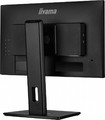 IIYAMA 21.5" Monitor XUB2292HSU-B6 IPS 100Hz FreeSync