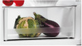 Polar Refrigerator POB601ES