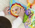 Fisher-Price® 1-to-5 Activity Book FGJ40 0+