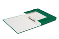 Box File with Ring Binder A4 1pc, green