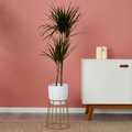 Plant Pot Stand GoodHome 19 - 24 cm, gold
