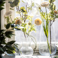 BERÄKNA Vase, clear glass, 18 cm