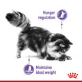 Royal Canin Appetite Control Care Wet Cat Food in Jelly 85g