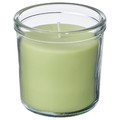 LÖVSKOGSLUND Scented candle in glass, Apple/light green, 40 hr