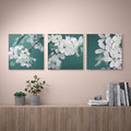 PJÄTTERYD Picture, set of 3, cherry blossom/white, 56x56 cm