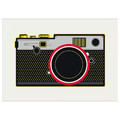 PJÄTTERYD Picture, snapshot, 70x50 cm