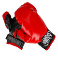 Boxing Set Star Boxing Punching Bag 3+