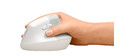 Logitech Optical Wireless Mouse Lift White Right Handed 910-006475