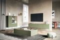 Four-Door TV Cabinet with Drawers Desin 220, olive/nagano oak
