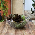 Serving Bowl Mirage 25.6cm, gold ring, plastic