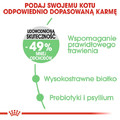 Royal Canin Digestive Care Dry Cat Food 2kg